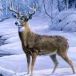 Deer Hunting 3D : Ice Age Deer Hunting 3D : Ice Age