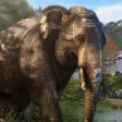 Wild Hunting Challenge 2016 Wild Hunting Challenge 2016
