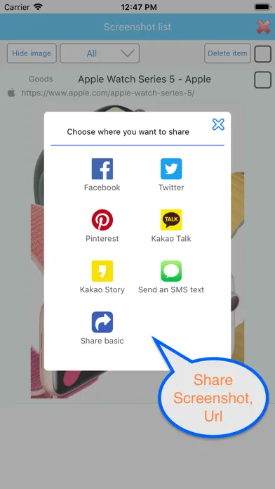 SWeb应用截图