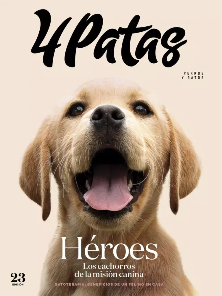 Capturas de tela do Revista 4Patas iPad 
