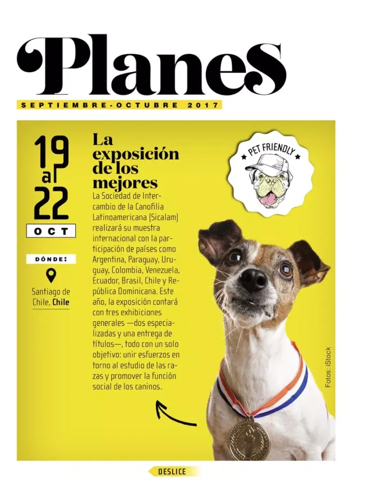 Capturas de tela do Revista 4Patas iPad 