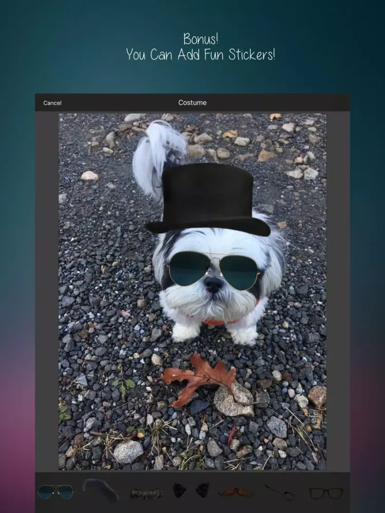 ภาพหน้าจอของ After Awesome : All-In-1 Picture Editor & More iPad 