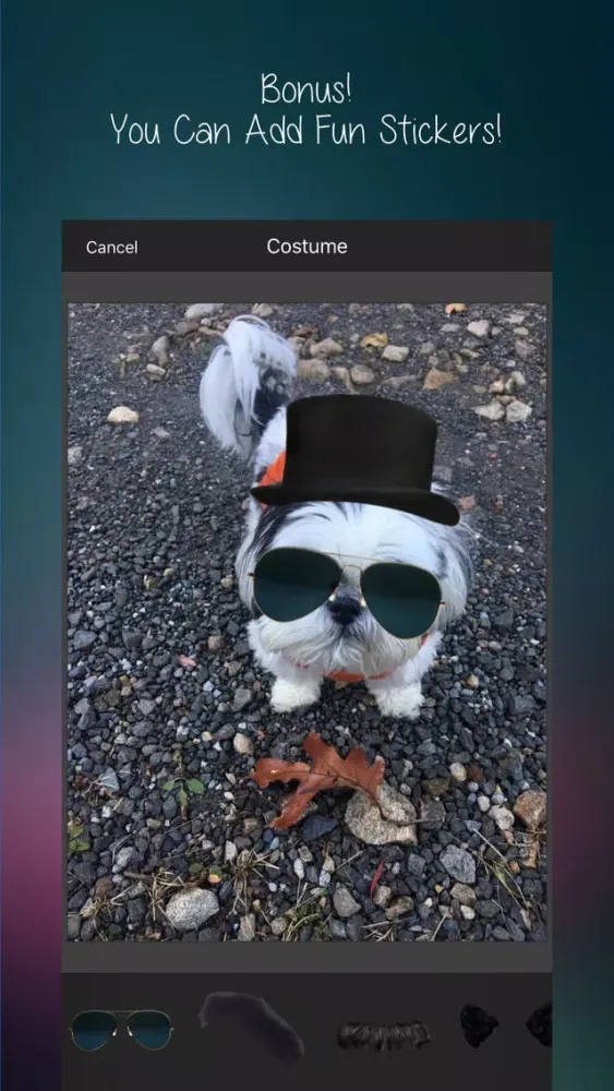 ภาพหน้าจอของ After Awesome : All-In-1 Picture Editor & More