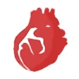 Coronary Angiography Simulator