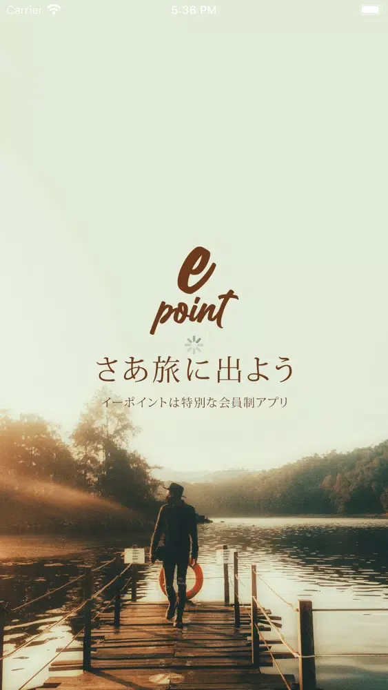 Скриншоты epoint