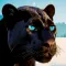 Wild Black Panther Furious Sim