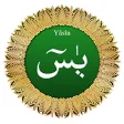 Yasin Suresi Ezberle Öğren