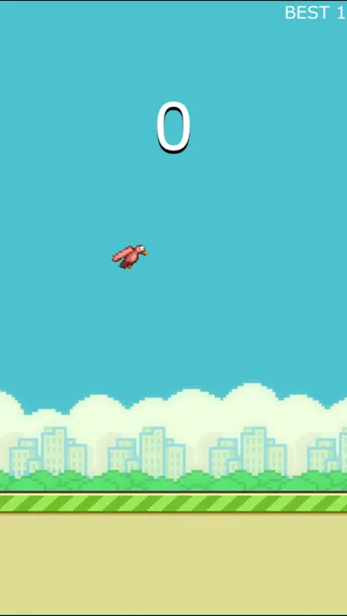 Large Bird Screenshots