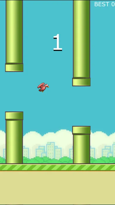 Large Bird Screenshots