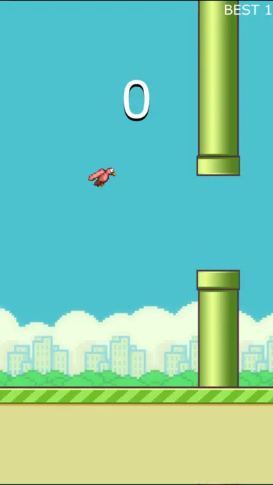 Large Bird Screenshots