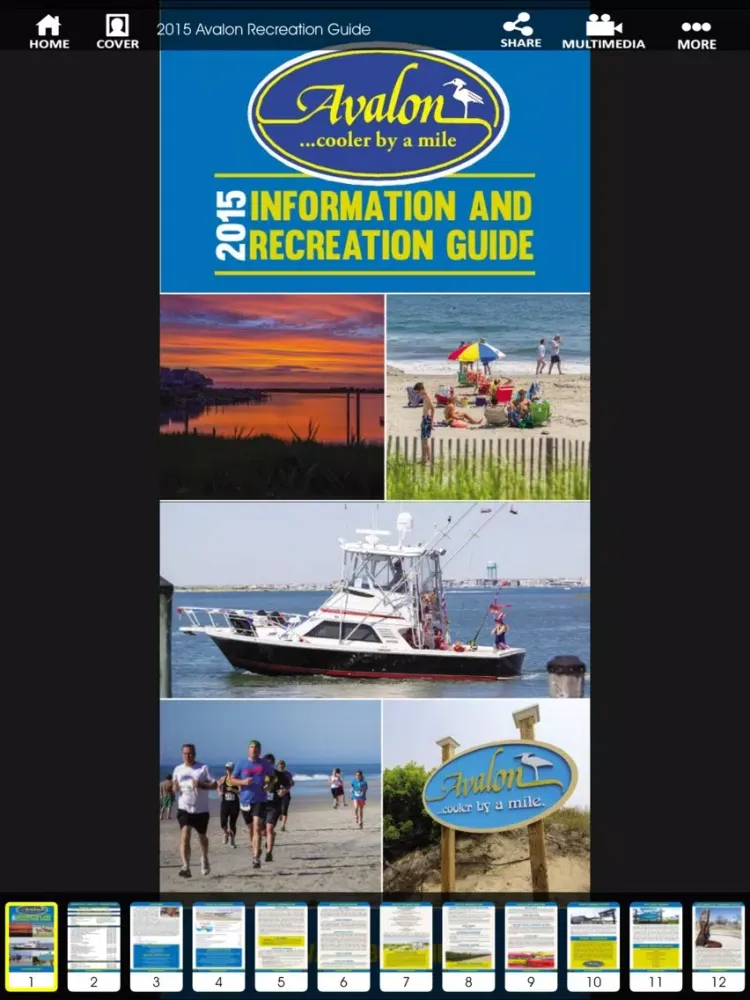 Avalon Information Guide iPad  স্ক্রিনশট