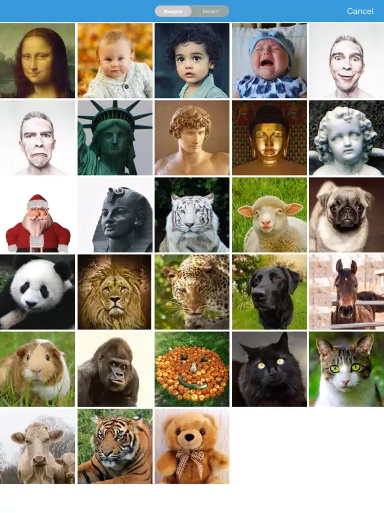 Face Story-Morph, Change Faces iPad 应用截图