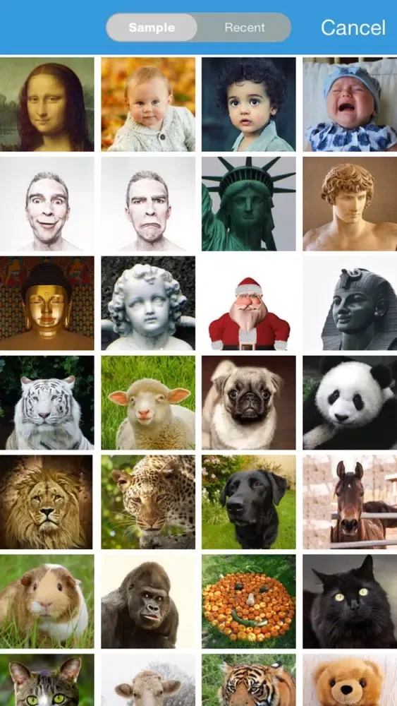 Face Story-Morph, Change Faces应用截图