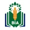 The BIA School