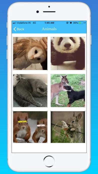 GIF Master - Funny GIF Search Screenshots