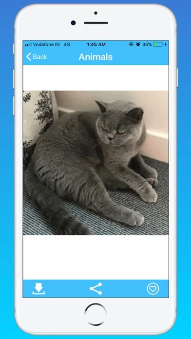 GIF Master - Funny GIF Search Screenshots