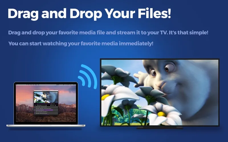 Captures d'écran de Air Stream for Sony & Sharp TV