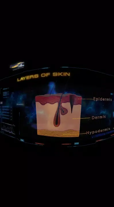 Screenshot di Dermatix VR (Thailand)