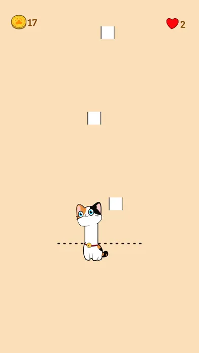 تصاویر Tall Cat Run - Music Survivor