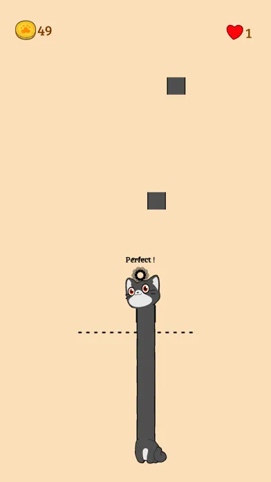 تصاویر Tall Cat Run - Music Survivor