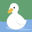 Ducky Days
