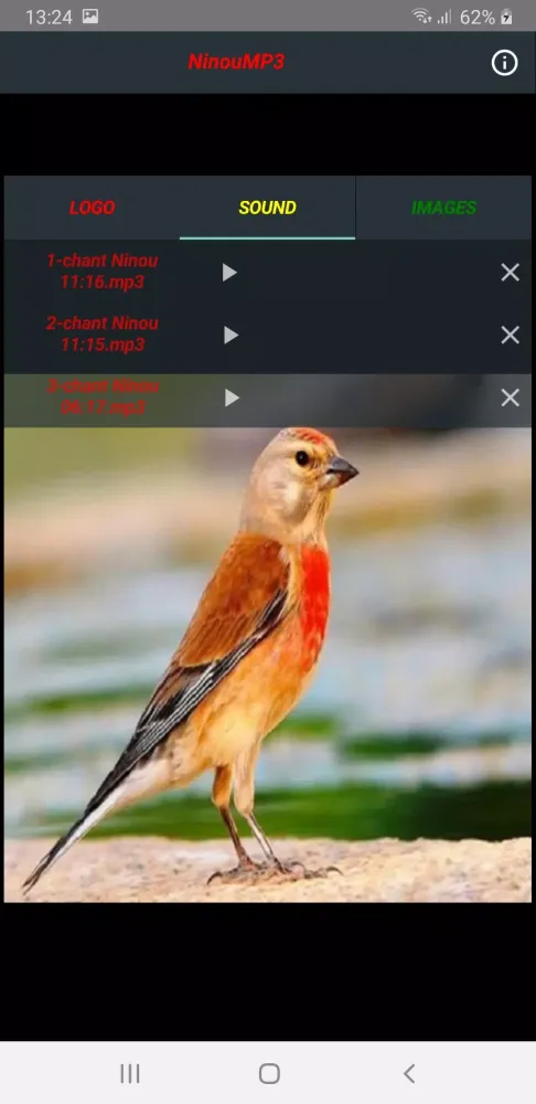 Tangkapan layar NINOU MP3