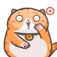 Chubby Cat Stickers Animated Chubby Cat Stickers Animated