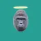 Harambe's Last Words
