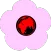 Flower Quiz Game 2022