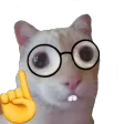 Stickers Memes - WAStickerApps
