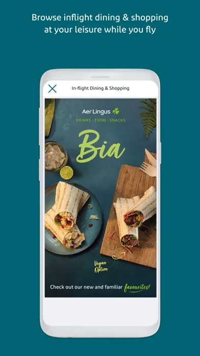ภาพหน้าจอของ Aer Lingus