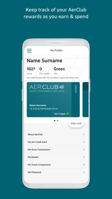 ภาพหน้าจอของ Aer Lingus