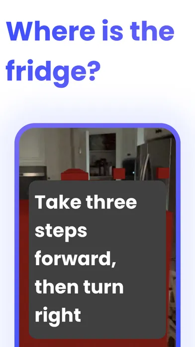 PingPath - Blind AI Navigation स्क्रीनशॉट