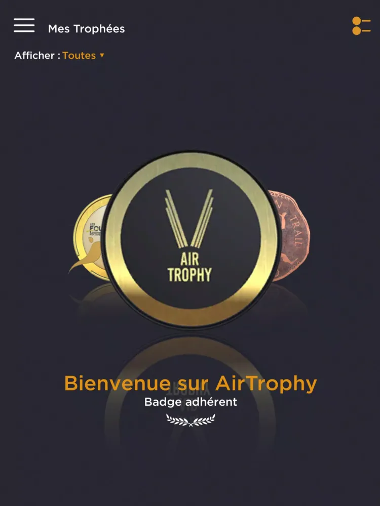 Air Trophy: vos médailles et t Screenshots
