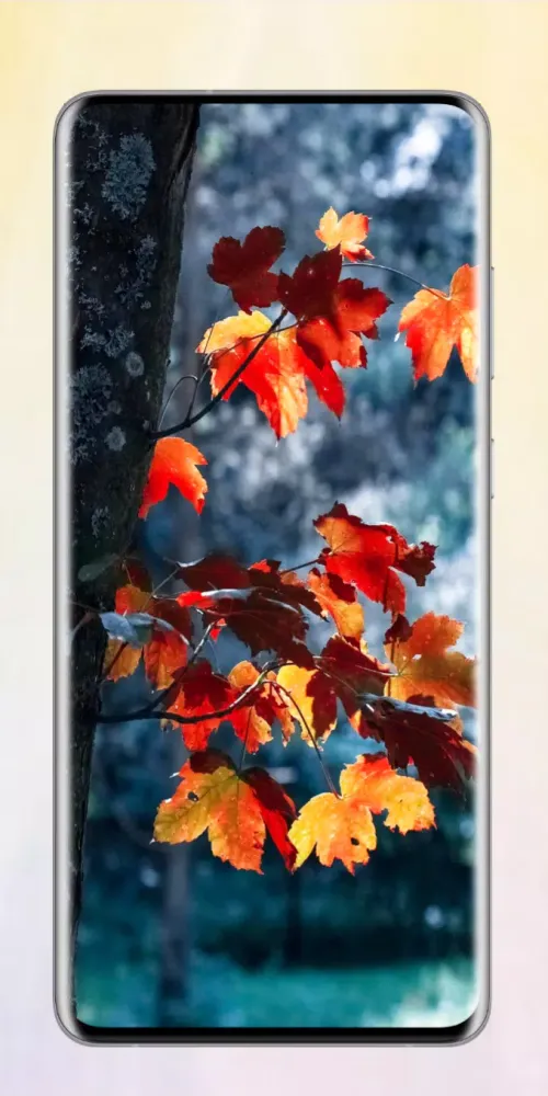 Tangkapan skrin Autumn Wallpaper