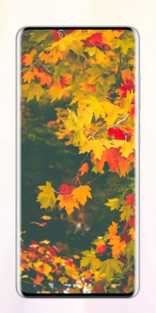 Tangkapan skrin Autumn Wallpaper