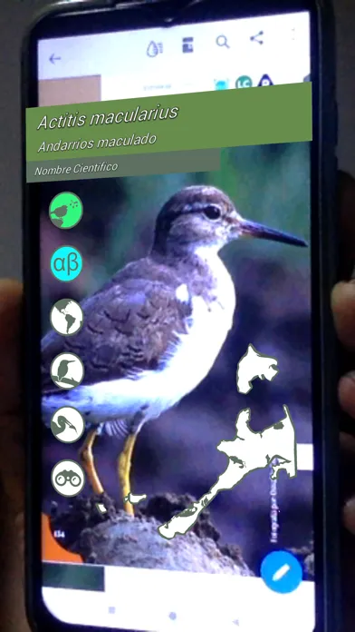Isla Barú Paraíso de Aves Ekran Görüntüleri