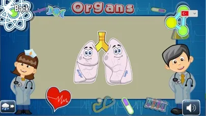 Capturas de tela do Akar Toys Set 4