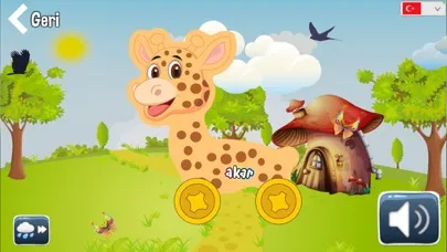 Zrzuty ekranu Akar Toys Set 5
