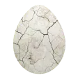 Crack Egg