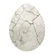 Crack Egg