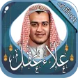 علاء عقل
