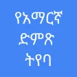 Amharic Voice Typing App