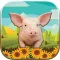 Animals World Puzzle Game