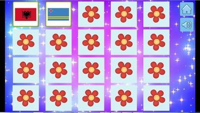 Country Matching Game-Brainstorm স্ক্রিনশট