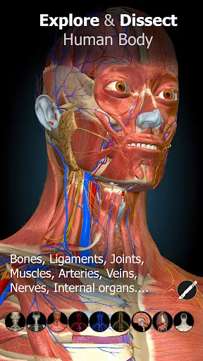 Anatomy Learning - 3D Anatomy Screenshots