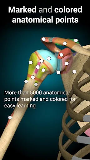 Anatomy Learning - 3D Anatomy Screenshots