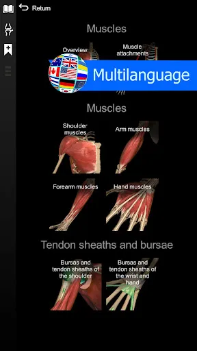 Anatomy Learning - 3D Anatomy Screenshots