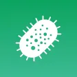 Flashcard Microbiology