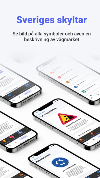 Ảnh chụp màn hình của Körkortsguiden